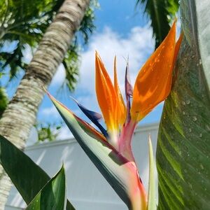 Meet your Posher, Holly